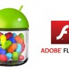 Android 4.1 ve 4.2 Jelly Bean Mobil Cihazlara Adobe Flash Player Yüklemek