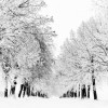 Kış Mevsimi Masaüstü Duvar Kağıtları [Wallpapers]