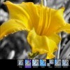 Windows 8 İçin 3 Güzel Fotoğraf Düzenleme Programı