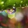Su Damlası ve Yansıması Fotoğraflarına Örnek 50 Mükemmel Fotoğraf [water droplet]